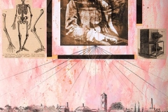 The Pathology Museum  - Lunacy