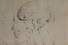 Head 2 - Heads