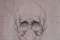 Head 3 - Heads