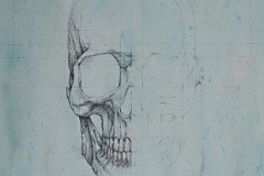 Head 4 - Heads