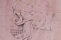 Head 5 - Heads