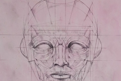 Head 7 - Heads