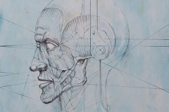 Head 8 - Heads